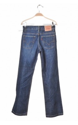 Blugi Levi's, 10 ani