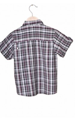 Camasa Matalan, 5 ani
