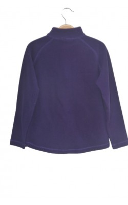 Polar mov Bjorn Daehlie, 10 ani