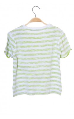 Tricou Campagnolo, 10 ani